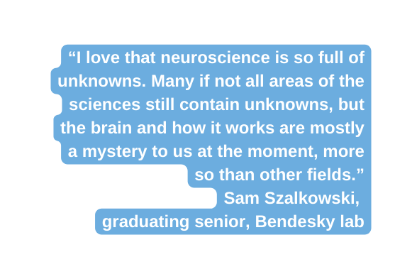 I love that neuroscience is so full of unknowns Many if not all areas of the sciences still contain unknowns but the brain and how it works are mostly a mystery to us at the moment more so than other fields Sam Szalkowski graduating senior Bendesky lab
